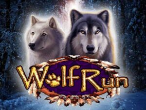 wolf run