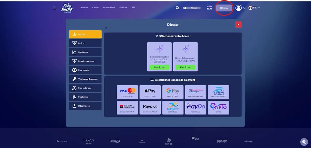 depot shiny wild casino test
